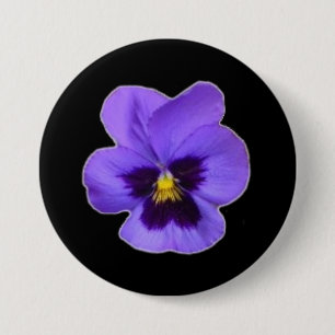 Purpurfärgad Pansy Knapp