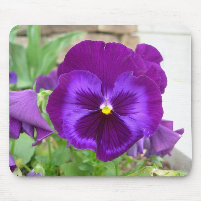 Purpurfärgad Pansy Mousepad Musmatta (Framsidan)