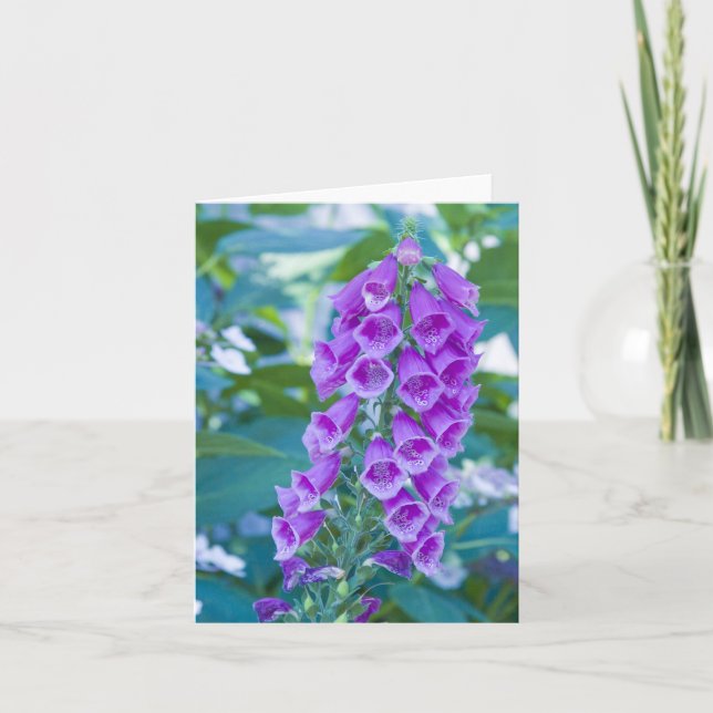 "Purpurfärgad skogFoxglove nr. 1", Kort (Framsida)
