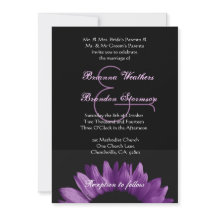 Purpurfärgad solros som gifta sig Ver 002