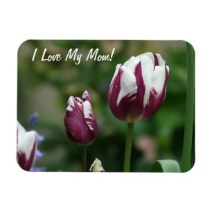 Purpurfärgad tulpanmamma magnet
