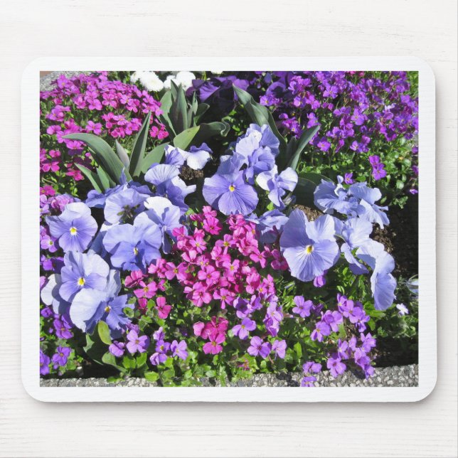 Purpurfärgad vår blommor musmatta (Framsidan)