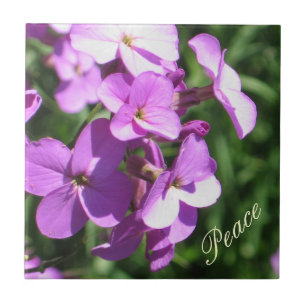 Purpurfärgad Vildblomma-Fred Kakelplatta