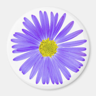 Purpurfärgad vildblomma magnet