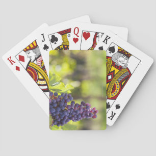 Purpurfärgad vinranka spel kort