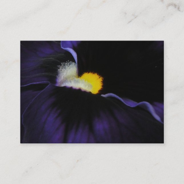 Purpurfärgad ViolamakroATC 1 Visitkort (Framsida)