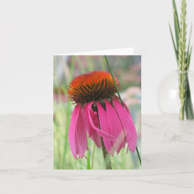 Purpurfärgade Coneflower noterar kortet Kort (Framsida)