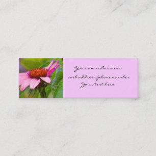 Purpurfärgade Coneflower profilerar kort