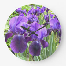 Purpurfärgade Irises i blom