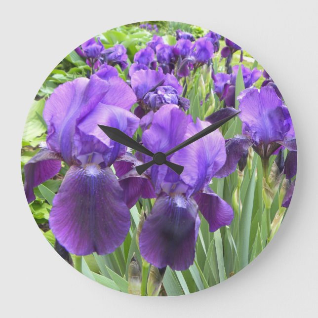 Purpurfärgade Irises i blom Stor Klocka (Framsida)