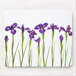 Purpurfärgade Irises - skräddarsy mall för Iris Musmatta