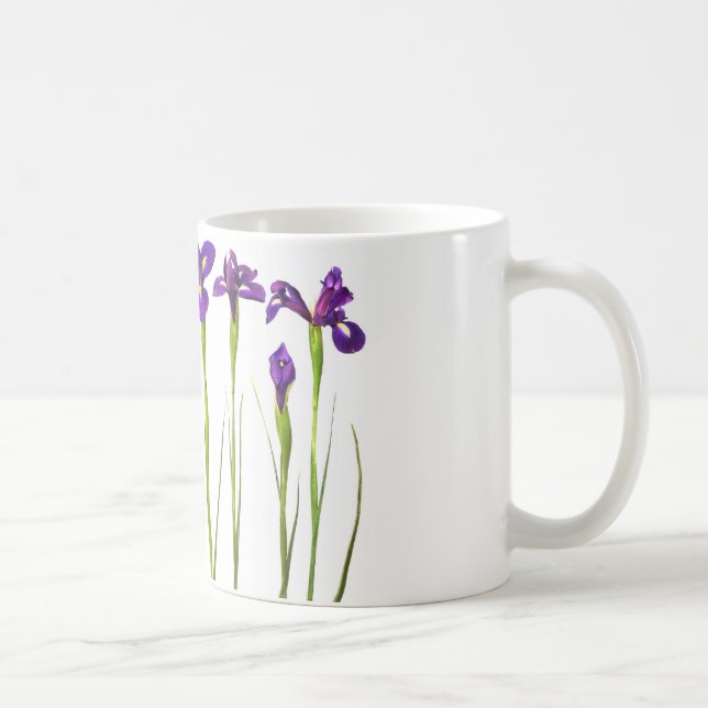 Purpurfärgade irises som isoleras på en kaffemugg (Höger)