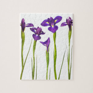 Purpurfärgade irises som isoleras på en pussel