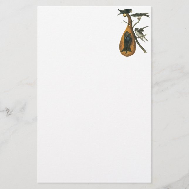 Purpurfärgade Martin, John Audobon Brevpapper (Framsida)