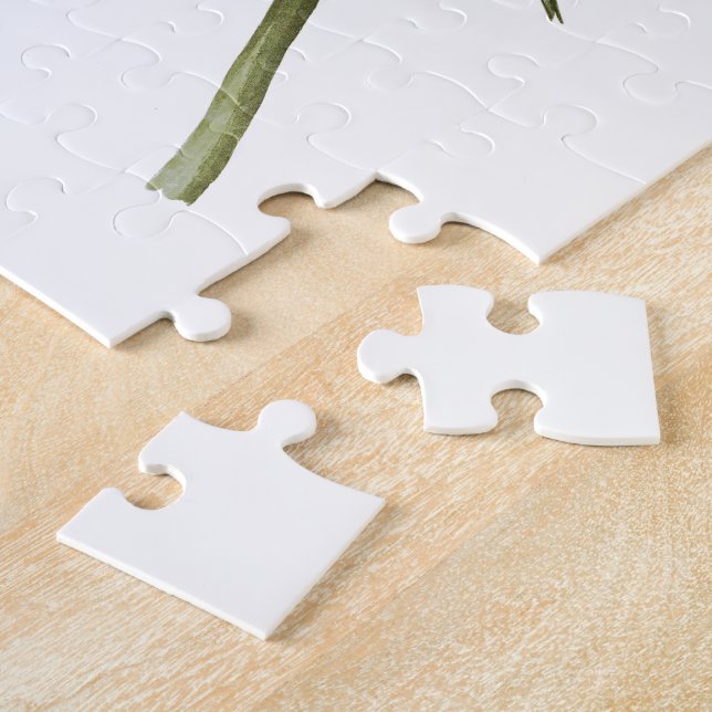 Purpurfärgade Martin John James Audubon fåglar av Pussel (Sidan)