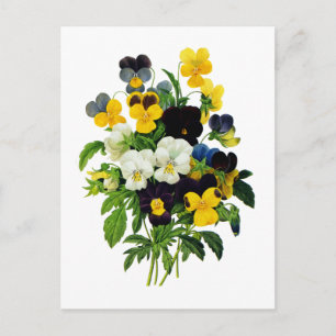 Purpurfärgade och gula Pansies för blått vid Vykort