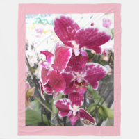 Purpurfärgade Orchids