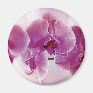 Purpurfärgade Orchids Magnet