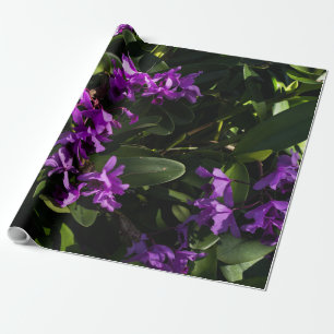 Purpurfärgade orchids presentpapper