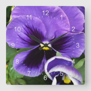 purpurfärgade pansies fyrkantig klocka