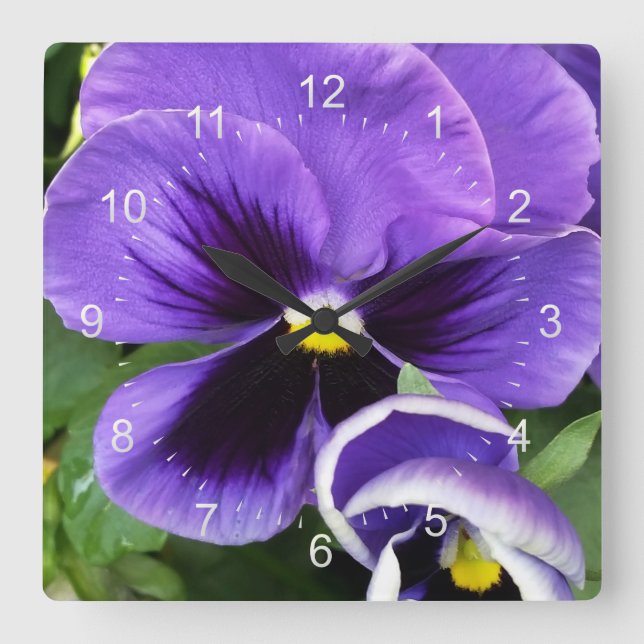 purpurfärgade pansies fyrkantig klocka (Framsida)