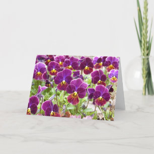 Purpurfärgade Pansies Kort