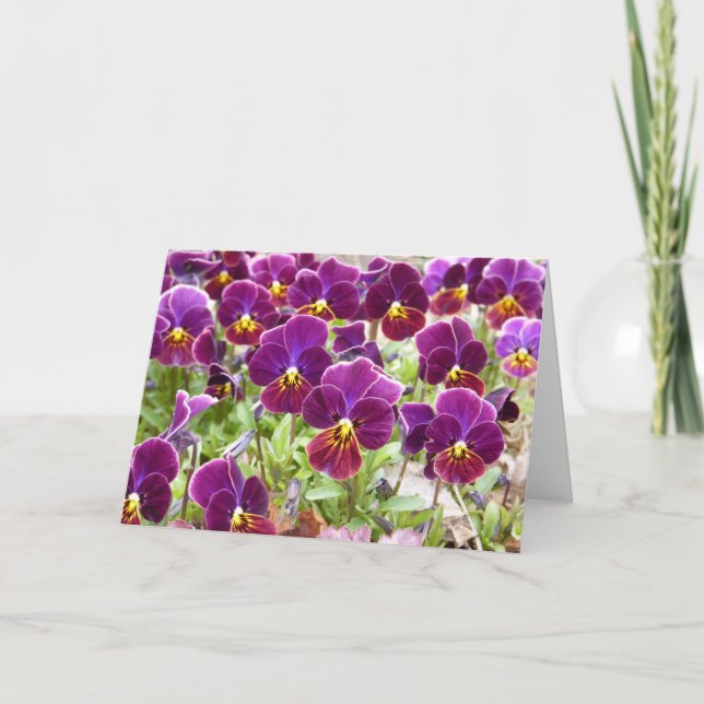 Purpurfärgade Pansies Kort (Framsida)