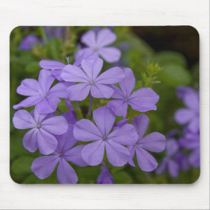 Purpurfärgade Petals Musmatta