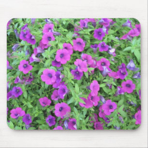 Purpurfärgade Petunias Mousepad Musmatta
