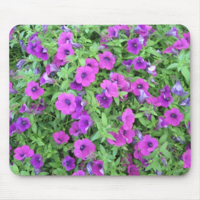 Purpurfärgade Petunias Mousepad Musmatta (Framsidan)