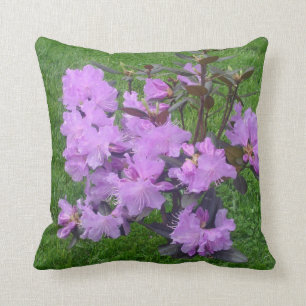 Purpurfärgade Rhododendrons Kudde