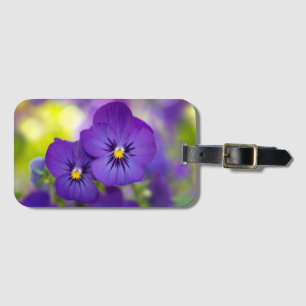 Purpurfärgade Violas Bagagebricka
