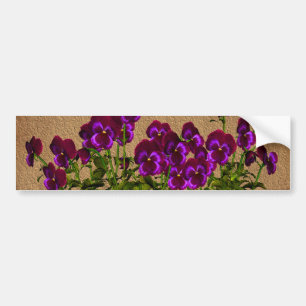 Purpurfärgade Violets på åldrig papper blommigt Bildekal