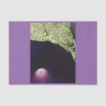 Purpurfärgat blom- beställnings-