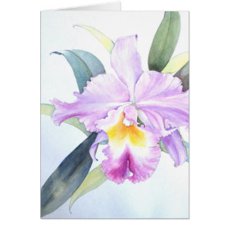 Purpurfärgat Cattleya Orchidkort (5" X 7") Hälsningskort