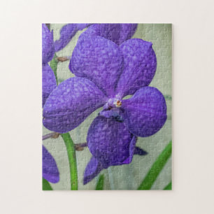Purpurfärgat vanda orchidspussel pussel
