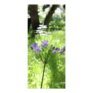 Purpurfärgat vildblommakuggekort reklamkort