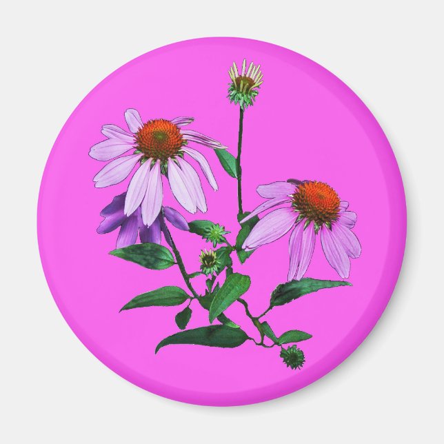 Purpurkonvaljekrona på rosa magnet (Framsidan)