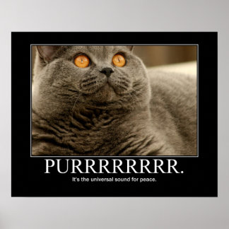Purr är det universella ljud för fredskonstruktion poster