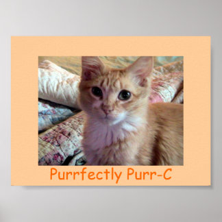 PURR-C-Poster Poster