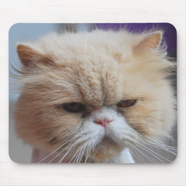 Purr-fect Persian Mousepad Musmatta (Framsidan)