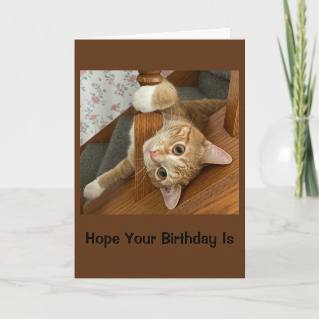 Purr-Fully Grattis på födelsedagen Kort (Framsida)