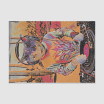 Purr Mix-a-Lot, Dj Kattunge Spins Tunes Stylized