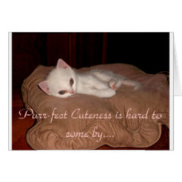 Purrfect Cuteness Hälsningskort