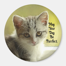 Purrfect Day Kitten Magnet