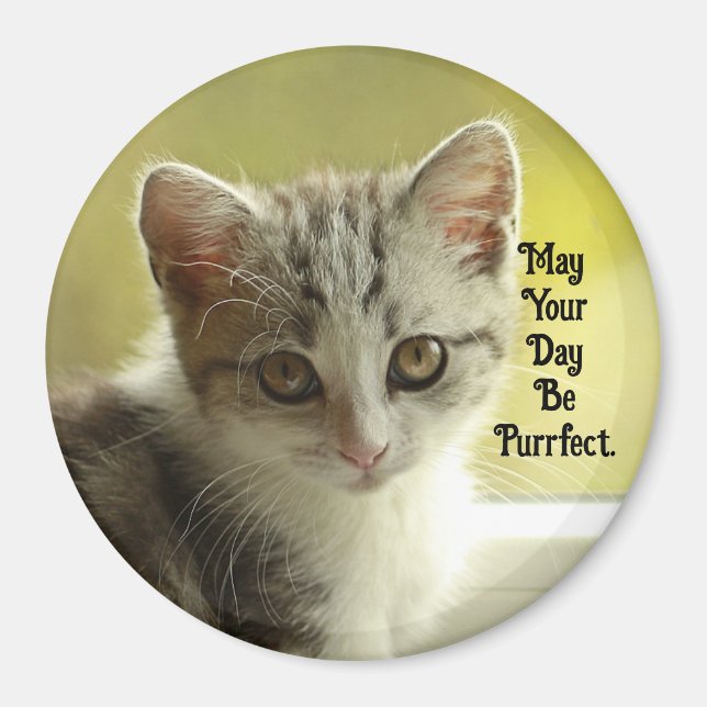 Purrfect Day Kitten Magnet (Framsidan)