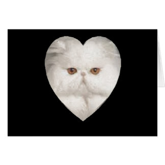 Purrfect Kattunge Hälsningskort