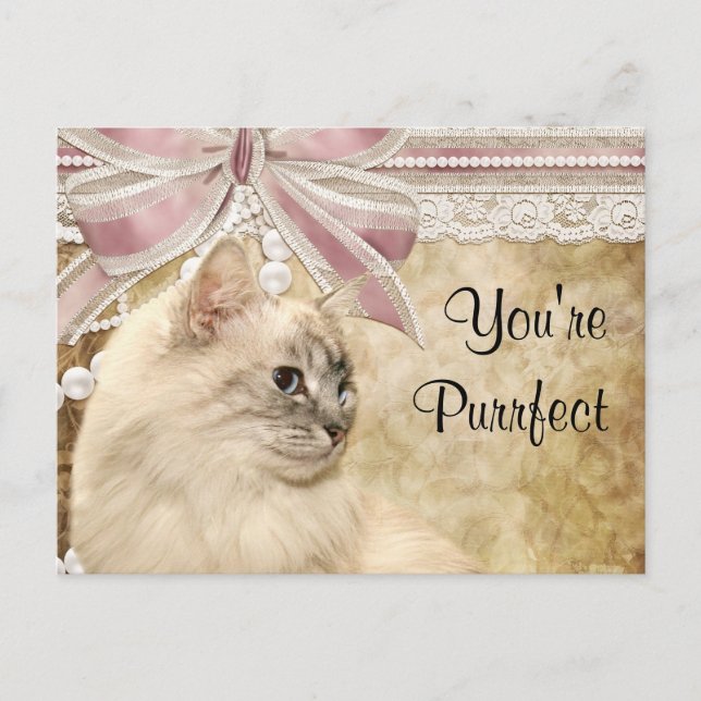 Purrfect kattungevalentin helg vykort (Framsida)