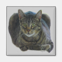 Purrfect-magnet