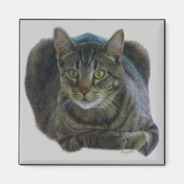 Purrfect-magnet Magnet